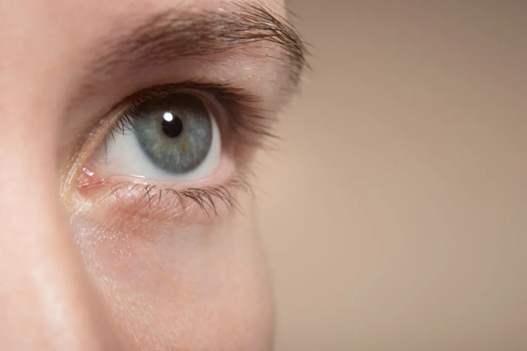 Close up of a woman's under eye